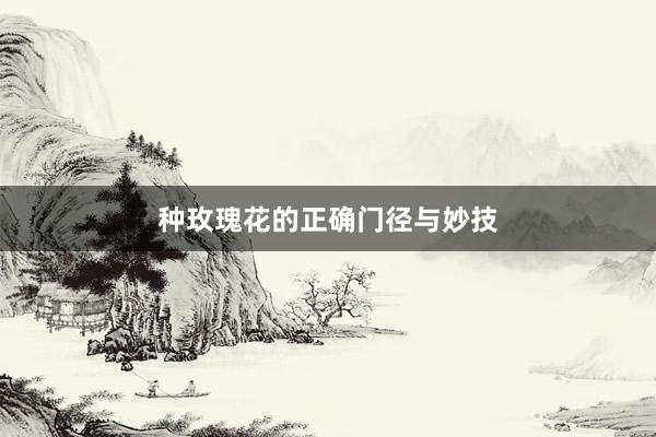 种玫瑰花的正确门径与妙技