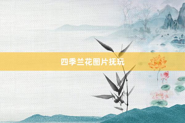 四季兰花图片抚玩