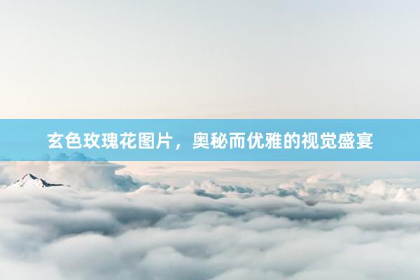 玄色玫瑰花图片,奥秘而优雅的视觉盛宴